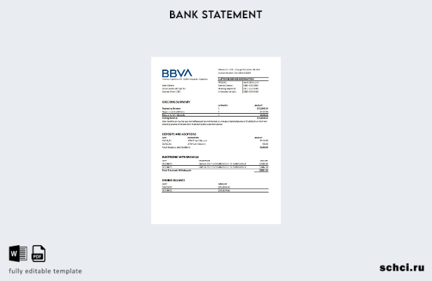 цифровая загрузка шаблона Excel банковской выписки Аргентины BBVA